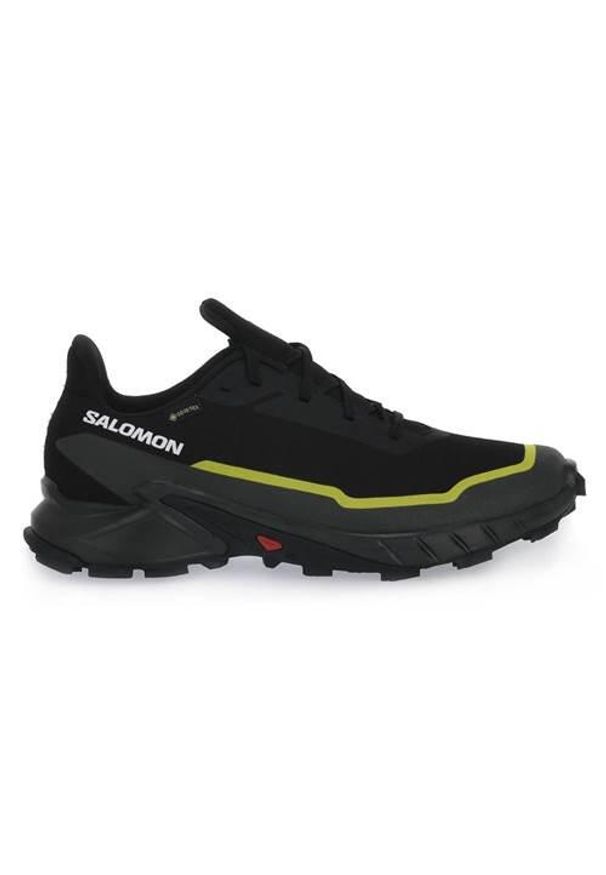 salomon - Buty do biegania męskie Salomon Alphacross 5 Gtx. Zapięcie: sznurówki. Kolor: wielokolorowy, czarny. Materiał: guma, materiał, tkanina, syntetyk. Szerokość cholewki: normalna. Technologia: Gore-Tex