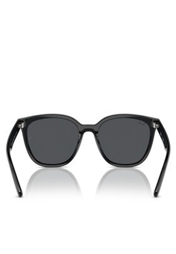 Ray-Ban Okulary przeciwsłoneczne 0RB4423D 601/87 Czarny. Kolor: czarny