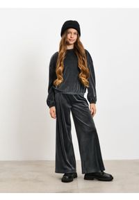 Sinsay - Welurowa bluza crewneck - szary. Kolor: szary. Materiał: welur #1