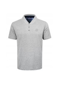 Koszulka Polo - Męska - Pako Jeans - Popielata. Okazja: na co dzień. Typ kołnierza: polo. Kolor: szary. Materiał: bawełna. Styl: casual