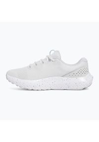 Buty do biegania damskie Under Armour Charged Surge 4. Kolor: szary