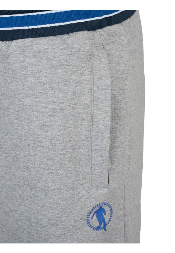 Bikkembergs Szorty | C 1 27B H2 E B090 | Mężczyzna | Szary. Okazja: na co dzień. Kolor: szary. Materiał: bawełna, elastan. Wzór: nadruk. Styl: casual