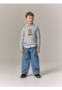 Reserved - Sweter oversize Garfield - jasnoszary. Kolor: szary. Materiał: dzianina, bawełna #1