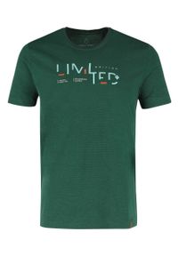 Volcano - Bawełniany t-shirt T-TED. Kolekcja: plus size. Kolor: zielony. Materiał: bawełna. Długość rękawa: krótki rękaw. Długość: krótkie