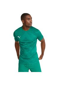 Podkoszulek Puma Teamglory Jersey, Mężczyźni. Kolor: zielony. Materiał: jersey #1