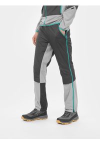 4f - Spodnie skiturowe Primaloft® Active męskie. Kolor: szary. Materiał: tkanina. Technologia: Primaloft. Sezon: zima. Sport: snowboard, narciarstwo #2
