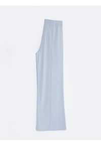 Big-Star - Spodnie damskie dresowe z szeroką nogawką błękitne Chitasanap 401/ Chitasana 401. Kolor: niebieski. Materiał: dresówka. Wzór: ze splotem #3