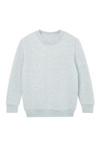 MANTIS - Bluza Dziecięca Essential Plain. Kolor: szary
