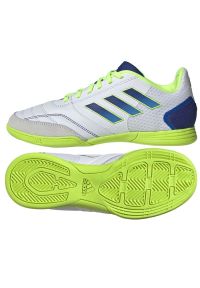 Adidas - Buty piłkarskie adidas Top Sala Competition In Jr IF6908 białe. Zapięcie: sznurówki. Kolor: biały. Materiał: guma, syntetyk. Sport: piłka nożna