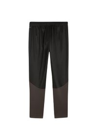 Puma - Męskie Treningowe Spodnie Do Biegania Team Goal. Kolor: czarny. Materiał: dresówka