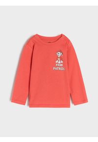 Sinsay - Koszulka z długimi rękawami PAW Patrol - koralowy. Kolor: pomarańczowy. Materiał: bawełna. Długość rękawa: długi rękaw. Długość: długie. Wzór: motyw z bajki #1