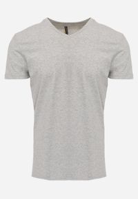 Born2be - Jasnoszara Koszulka T-shirt z Bawełny z Dekoltem w Serek Rionisse. Okazja: do domu, do pracy. Typ kołnierza: dekolt w serek. Kolor: szary. Materiał: bawełna. Styl: elegancki, klasyczny #1