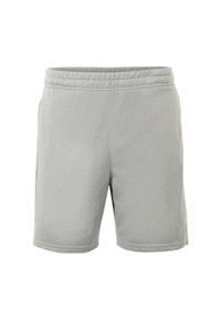 Fila - Spodenki męskie FILA Lich Sweat. Kolor: szary. Sport: turystyka piesza