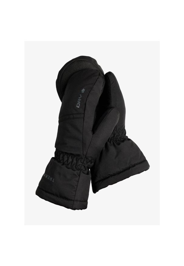 Rękawiczki dziecięce Trekmates Beacon DRY Mitten. Kolor: czarny. Sport: turystyka piesza