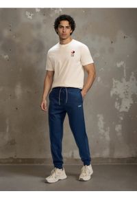 Sinsay - Spodnie dresowe jogger - niebieski. Kolor: niebieski. Materiał: dresówka