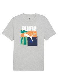 Puma - Męska Koszulka Sportowa Summer II. Kolor: szary
