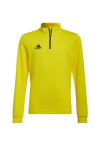 Adidas - Bluza piłkarska dla dzieci adidas Entrada 22 Training Top. Kolor: czarny, żółty, wielokolorowy. Sport: piłka nożna