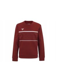 TECNIFIBRE - Bluza dziecięca lifestyle Tecnifibre Team Sweater. Kolor: czerwony, wielokolorowy, biały #1