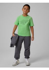 4f - 4F T-shirt regular z nadrukiem chłopięcy - zielony 128 (7-8 lat). Okazja: na co dzień, na uczelnię. Kolor: zielony. Materiał: bawełna, skóra, materiał. Wzór: nadruk. Sezon: lato. Styl: casual, klasyczny #2