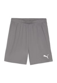 Szorty Puma TeamGloal. Kolor: szary. Materiał: materiał. Sport: piłka nożna #1