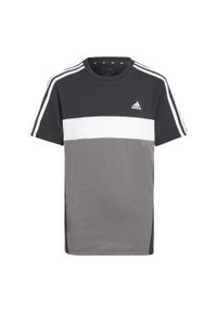 Adidas - Koszulka Tiberio 3-Stripes Colorblock Cotton Kids. Kolor: czarny, szary, wielokolorowy, brązowy, biały. Materiał: bawełna. Sport: joga i pilates