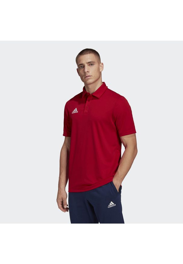 Koszulka polo do piłki nożnej męska Adidas Entrada 22 Polo z krótkim rękawem. Typ kołnierza: polo. Kolor: czerwony. Materiał: bawełna, poliester. Długość rękawa: krótki rękaw. Długość: krótkie. Sport: piłka nożna