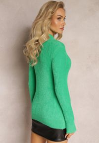 Renee - Zielony Sweter z Półgolfem z Puchatej Dzianiny Lictorene. Kolor: zielony. Materiał: dzianina. Sezon: jesień, zima