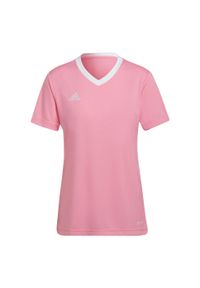 Koszulka piłkarska damska Adidas Entrada 22 Jersey. Kolor: różowy. Materiał: jersey. Sport: turystyka piesza, piłka nożna, fitness