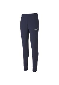 Spodnie piłkarskie męskie Puma teamGOAL 23 Casuals Pants. Kolor: niebieski. Materiał: bawełna, poliester. Sport: piłka nożna