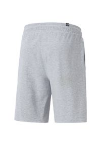 Szorty Sportowe Męskie Puma Rad/Cal 9'' Dk. Kolor: szary. Długość: krótkie. Sezon: lato