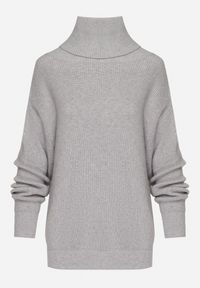 Born2be - Szary Golf o Klasycznym Kroju z Kaszmirem Azifra. Okazja: na spotkanie biznesowe. Typ kołnierza: golf. Kolor: szary. Materiał: kaszmir. Styl: klasyczny #4