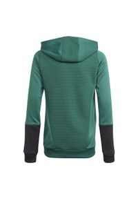 Adidas - Bluza z kapturem dla dzieci Manchester United. Typ kołnierza: kaptur. Kolor: czarny, zielony, wielokolorowy. Sport: piłka nożna