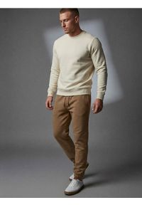 Sinsay - Spodnie dresowe jogger - brązowy. Kolor: brązowy. Materiał: dresówka