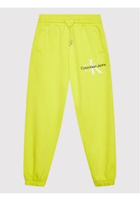 Calvin Klein Jeans Spodnie dresowe IB0IB01186 Zielony Relaxed Fit. Kolor: zielony. Materiał: bawełna #1