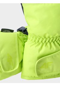 4f - Rękawice narciarskie Thinsulate© męskie. Kolor: zielony. Materiał: materiał, syntetyk. Technologia: Thinsulate. Sport: narciarstwo