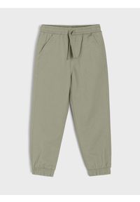 Sinsay - Spodnie joggery slim z twillu o miękkim wykończeniu - zielony. Kolor: zielony