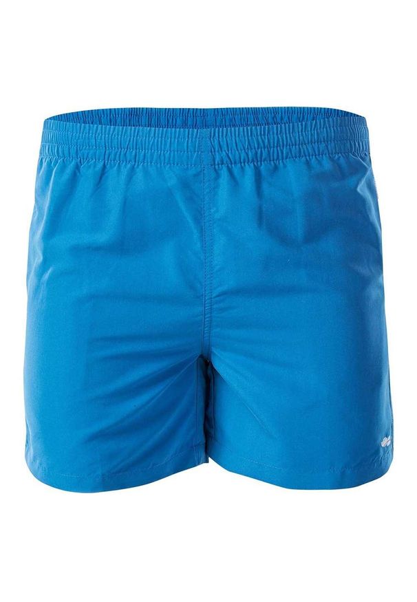 AquaWave - Męskie Spodenki Kąpielowe Z Logo Apeli. Kolor: niebieski. Styl: sportowy