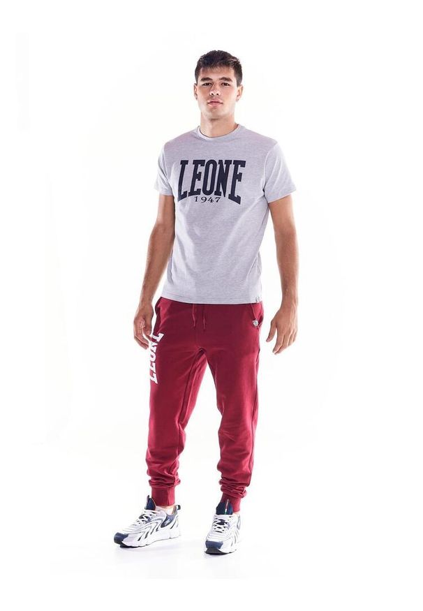 LEONE 1947 APPAREL - Męska koszulka z krótkim rękawem Leone 1947 Apparel. Kolor: szary. Materiał: tkanina. Długość rękawa: krótki rękaw. Długość: krótkie. Sport: fitness