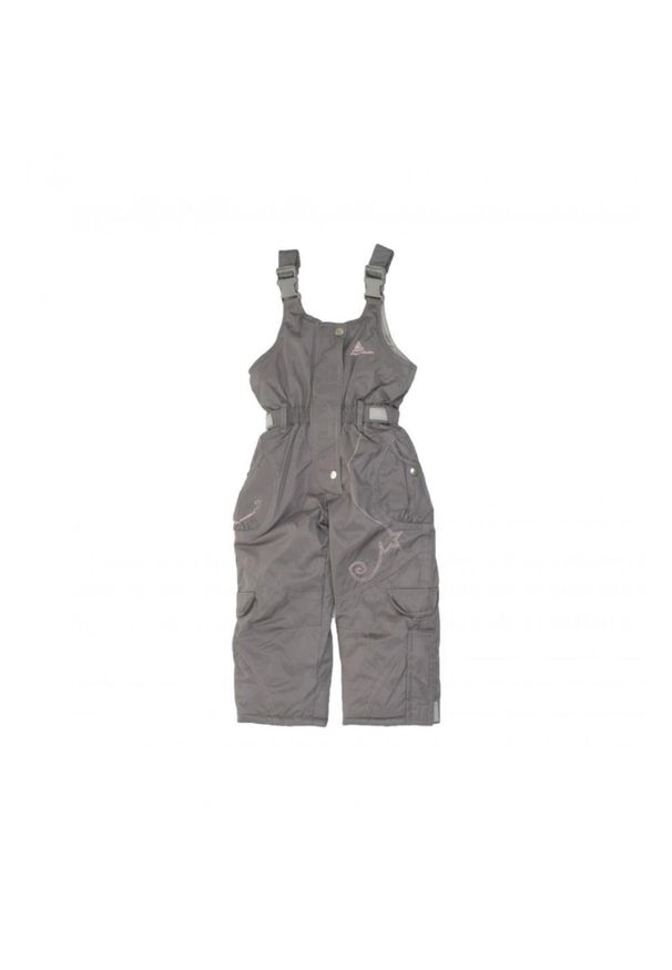 PEAK MOUNTAIN - Dziewczęce kombinezony narciarskie Peak Mountain Fomblux. Kolor: szary. Sezon: zima. Sport: narciarstwo