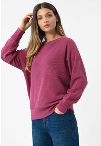 Volcano - Prążkowana, luźna bluza B-MINK. Okazja: na co dzień. Materiał: prążkowany. Długość rękawa: raglanowy rękaw. Wzór: prążki. Styl: casual #1