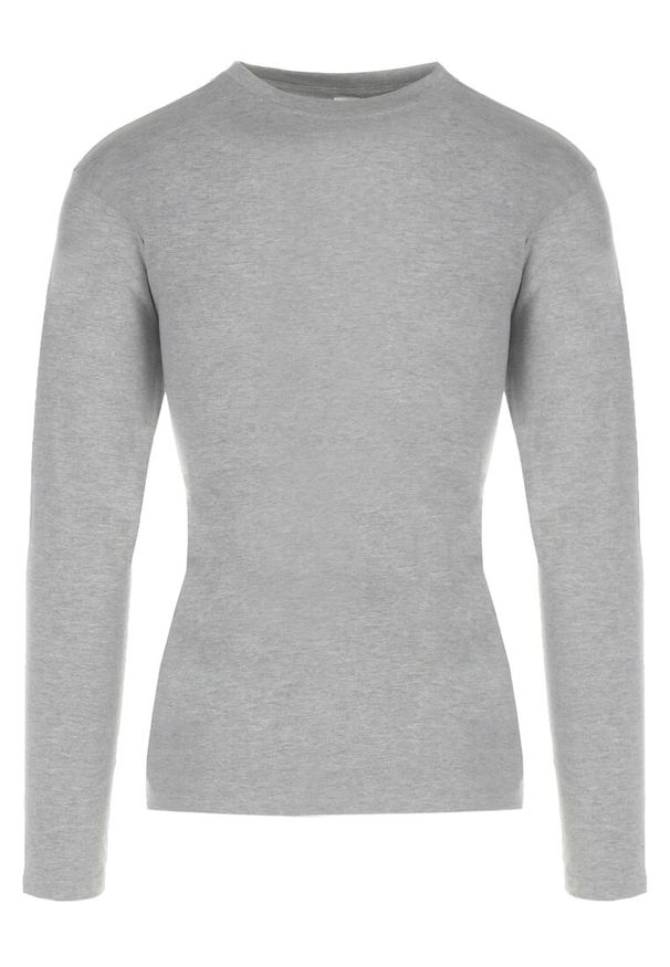 Born2be - Jasnoszara Bluzka Ideld. Kolor: szary. Materiał: dzianina. Długość rękawa: długi rękaw. Wzór: jednolity. Styl: klasyczny