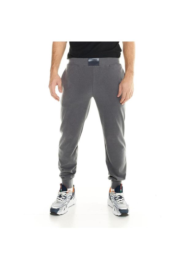 LEONE 1947 APPAREL - Męskie spodnie polarowe Leone Lifestyle. Kolor: szary. Materiał: polar. Sport: fitness
