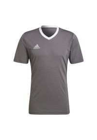 Adidas - Entrada 22 Jersey. Kolor: szary. Materiał: jersey. Sport: piłka nożna