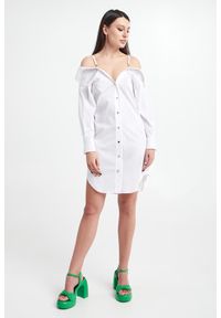 Blugirl Blumarine - Sukienka koszulowa BLUGIRL BLUMARINE. Typ sukienki: koszulowe #3