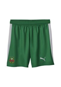 Puma - Męskie szorty SK Rapid Wiedeń 25/26 PUMA White Sport Green. Kolor: zielony, biały, wielokolorowy. Sport: fitness