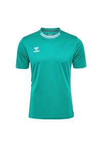 Koszulka Hummel Playful. Kolor: niebieski, wielokolorowy, zielony. Sport: fitness, piłka nożna #1
