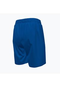 Szorty kąpielowe dziecięce Nike Essential 6" Volley. Kolor: niebieski