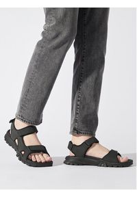 Timberland Sandały Lincoln Peak Strap Sandal TB0A5T5G0151 Czarny. Kolor: czarny