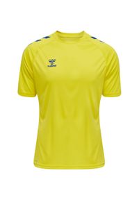 Koszulka sportowa męska Hummel Core XK Poly T-Shirt S/S. Kolor: niebieski, wielokolorowy, żółty #1