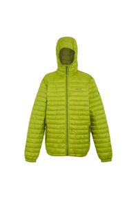 Regatta - Męska Ocieplana Kurtka Hurden. Kolor: żółty, zielony, wielokolorowy. Materiał: puch. Sport: turystyka piesza #1